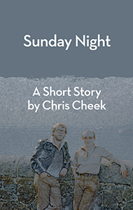 The cover of the short story published in January 2019